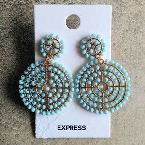 Express Multicored Beaded Earrings